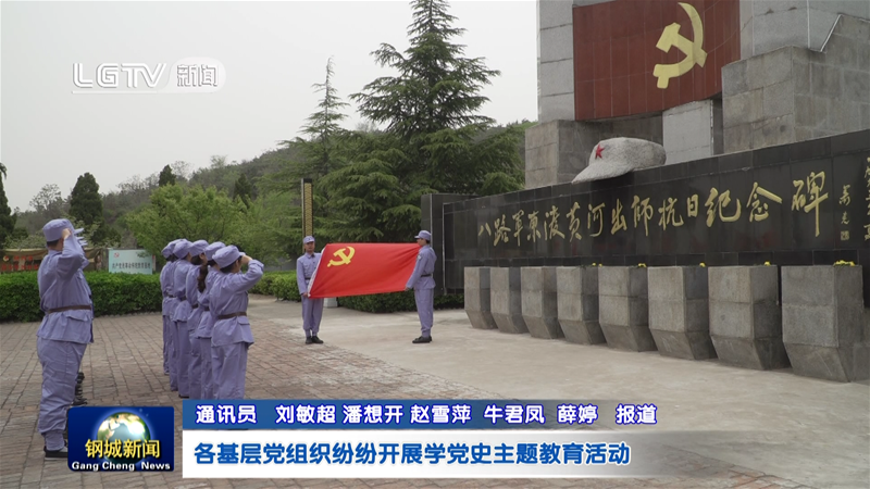 各下层党构造纷纭展开党史进修教导系列勾当