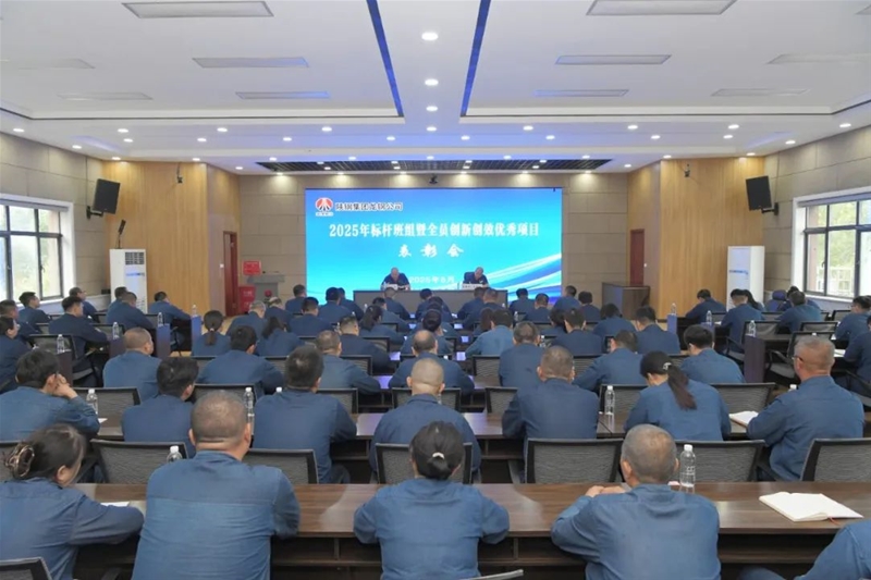 公司召开2025年上半年标杆班组暨全员立异创效优异名目惩处会